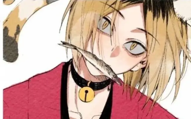 Profile image of 코즈메 켄마