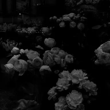 Profile image of 우융