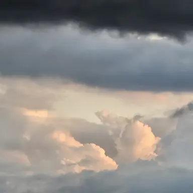 Profile image of 이민호