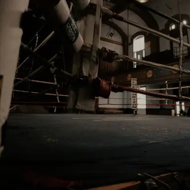 Profile image of 이준호