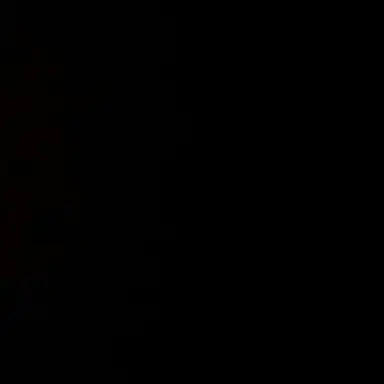 Profile image of 카이