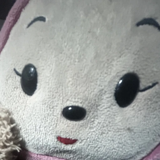 후조아