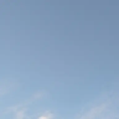 Profile image of 눈색 계급 세계