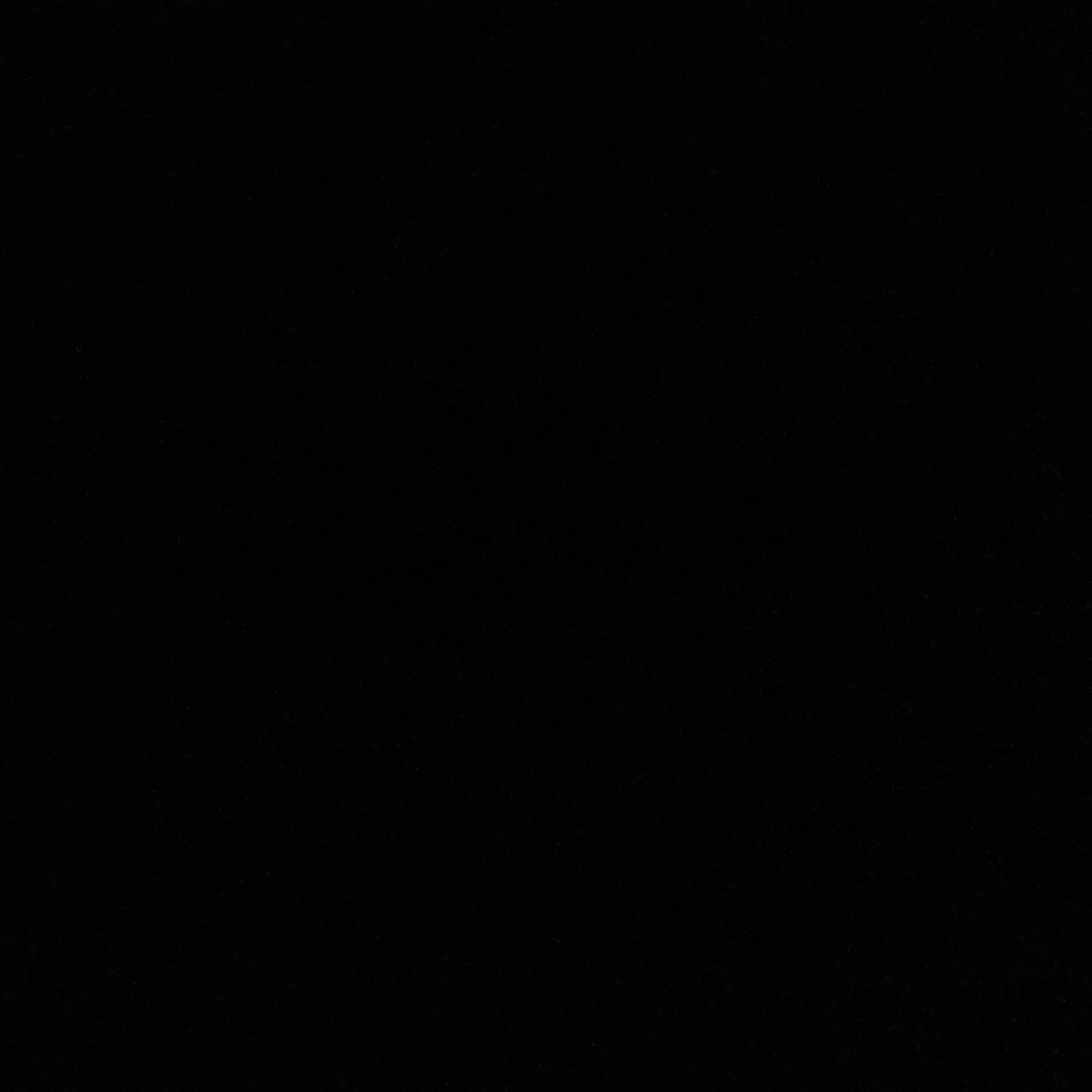 양정인