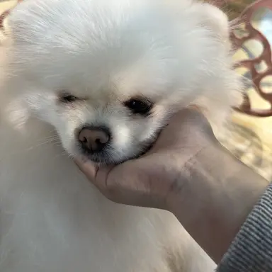 Profile image of 유기사