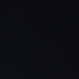 long.의 이금손