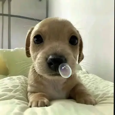 Profile image of 잠뜰