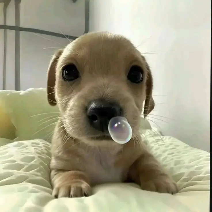 cocoa12의 수상한 이웃집