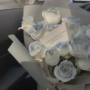 Profile image of 파크모