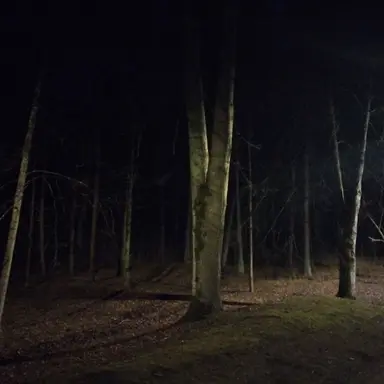 Profile image of Jake