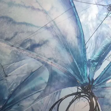 Profile image of 박성호