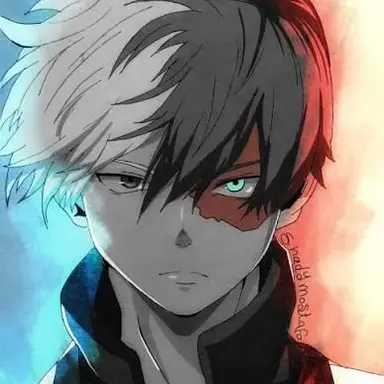 Profile image of Shoto Todororki