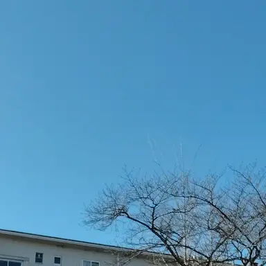 Profile image of だいち