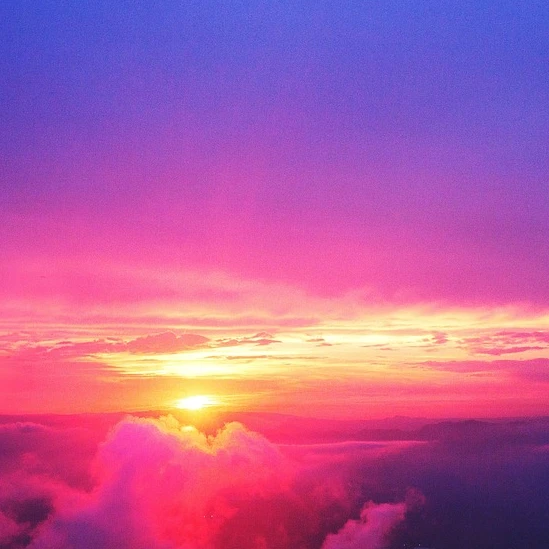 渡会 雲雀