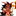 버닝스파이스 쿠키���