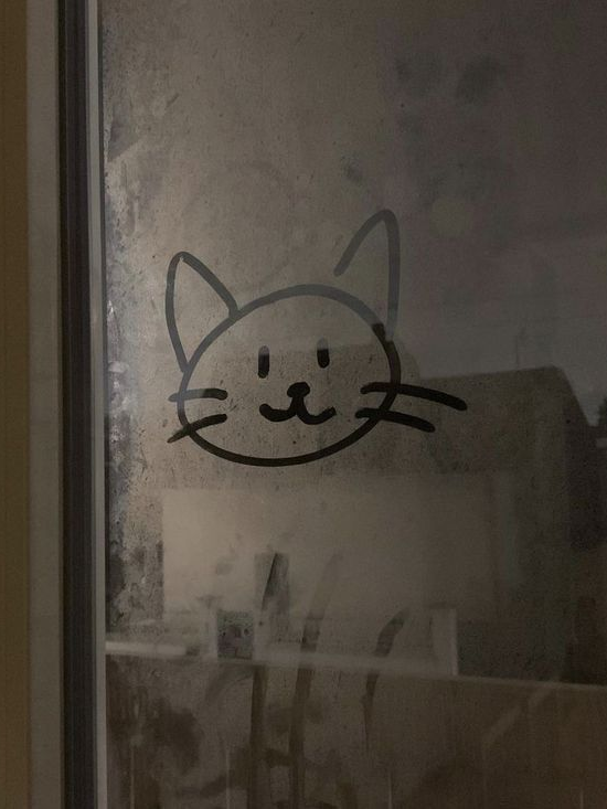ᓀ ·̫ ᓂ 대표 이미지