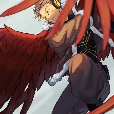 Profile image of Hawks