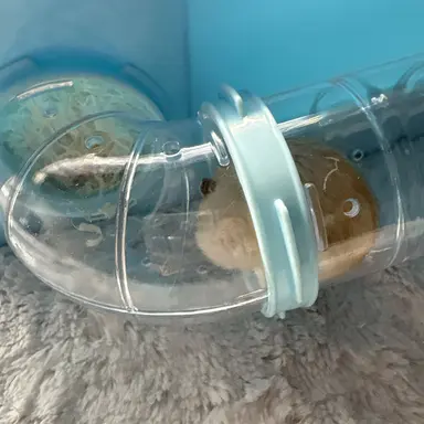 Profile image of 구승원