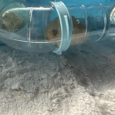 Profile image of 구도원