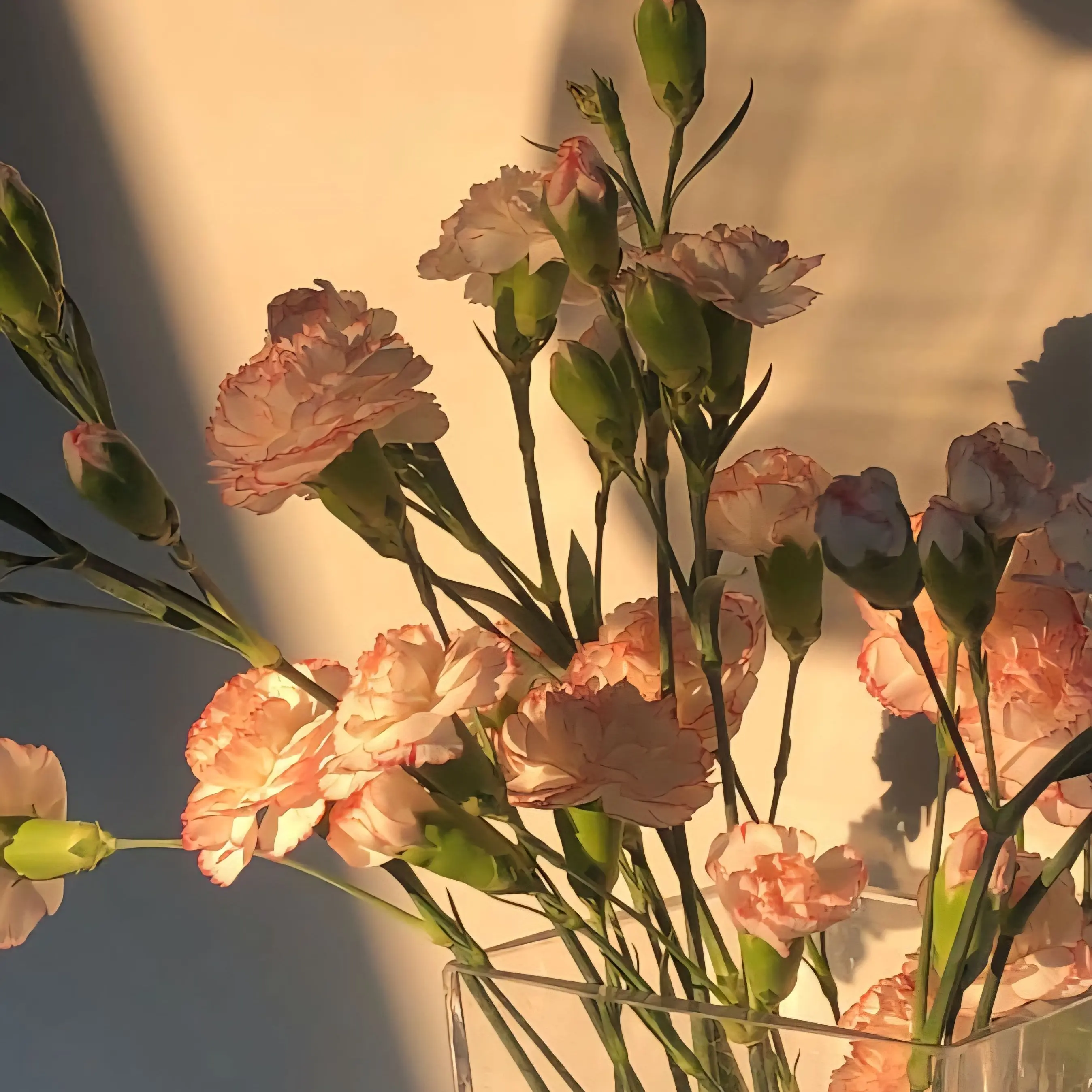 Trrrue_의 한지예