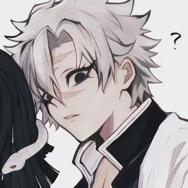 Profile image of 시나즈가와 사네미