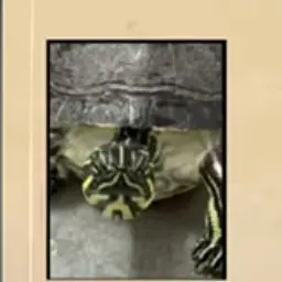 Profile image of 최딱지