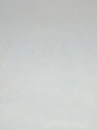 MaltchamilkTeeA의 한지성