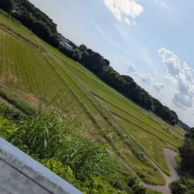 Profile image of ミツナリ