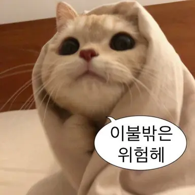 Profile image of 리온
