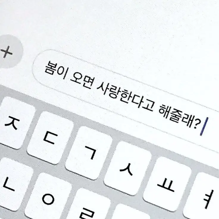 PeachyFort7455의 우리들