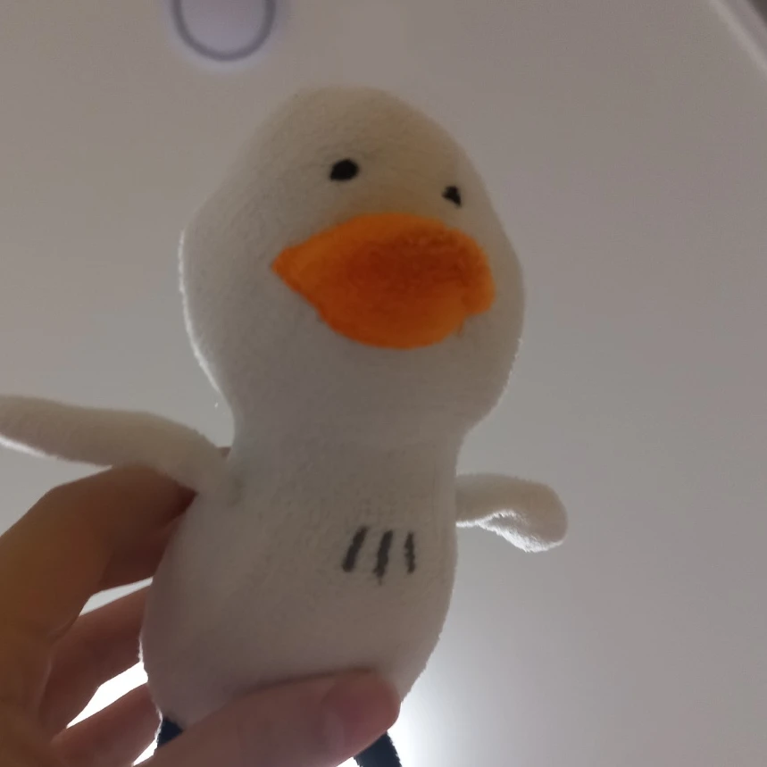 김뽀동