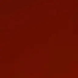 Profile image of 宮舘涼太