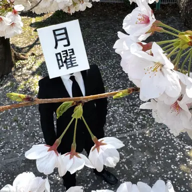 Profile image of 月曜日