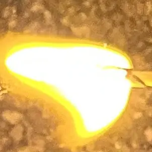 Profile image of しおり