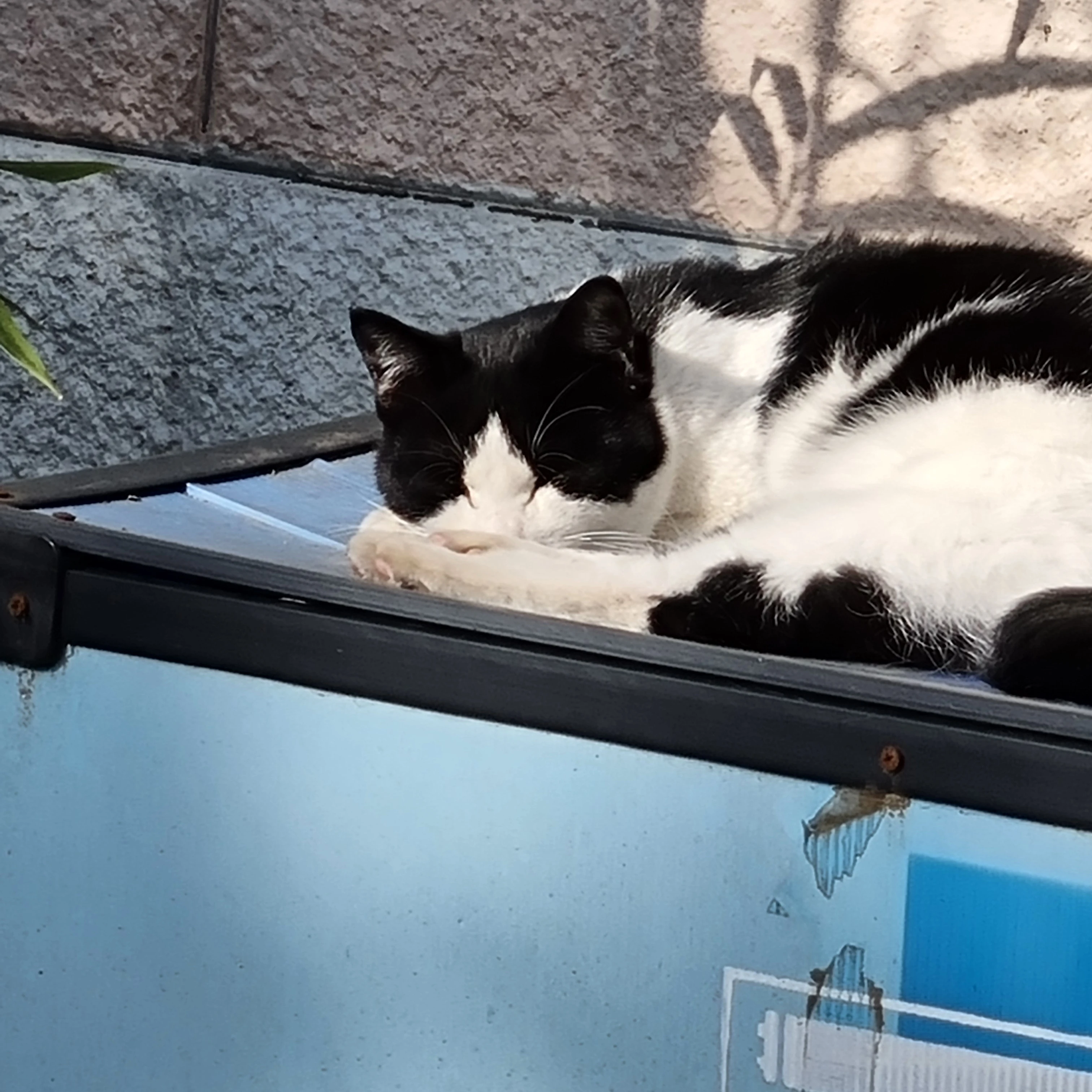 부승괁