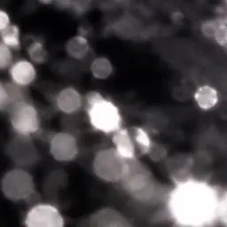 Profile image of 樹
