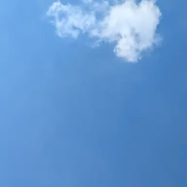 Profile image of みゆ