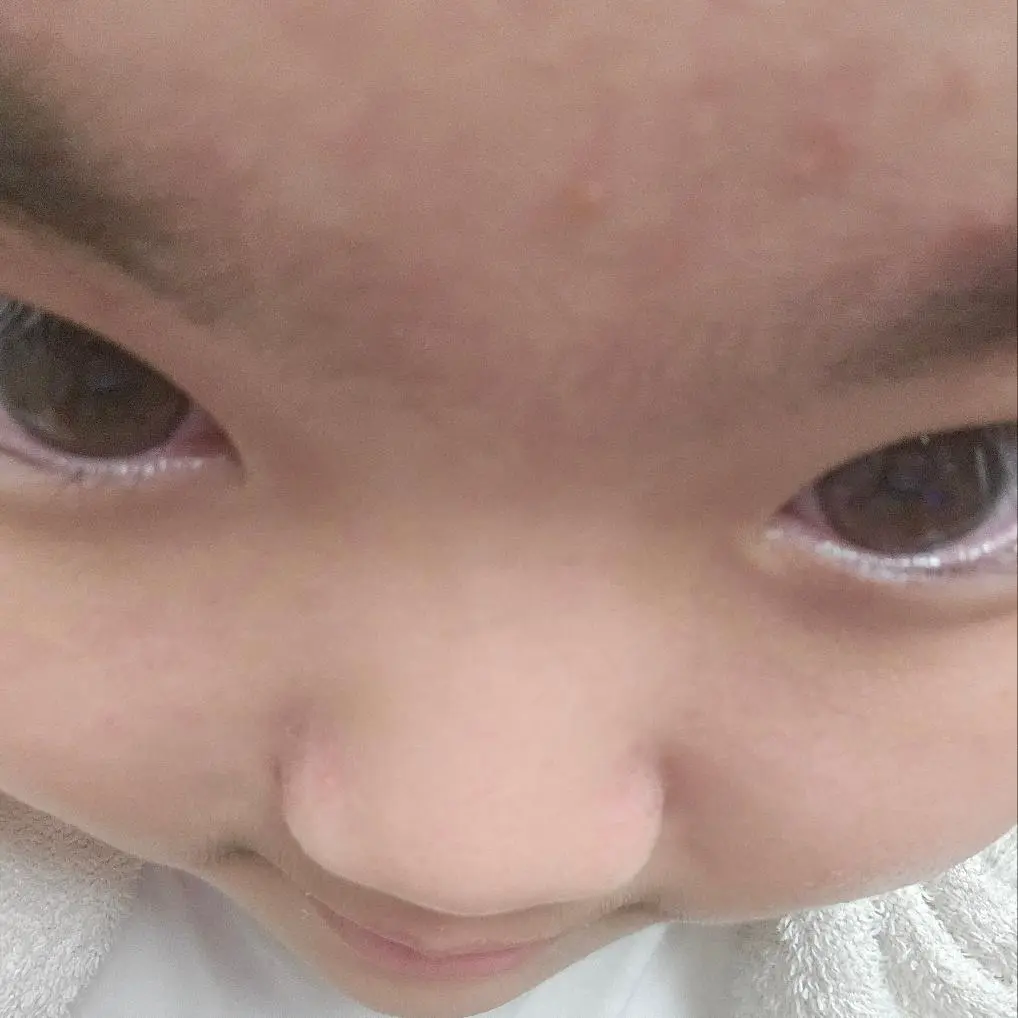 LazyViola8505의 노딱