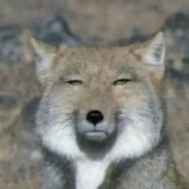 Profile image of 여우