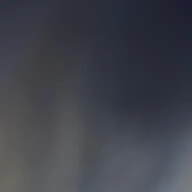 Profile image of 角名倫太郎