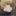 アクア