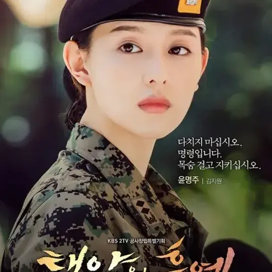 FussyZorse7895의 태양의 후예