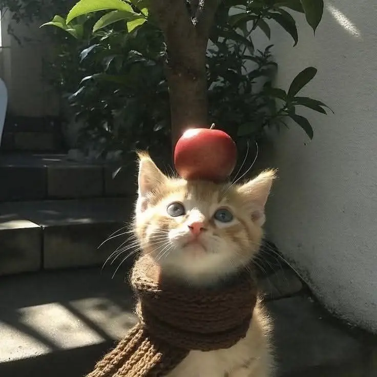 VapidHeart8488의 보육원