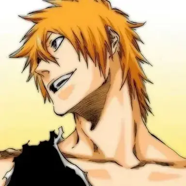 Profile image of Ichigo