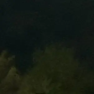 Profile image of 유저