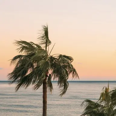 Profile image of あすかです。