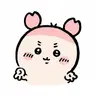 Profile image of 카니