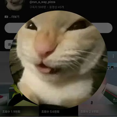 Profile image of 피자