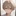 雀