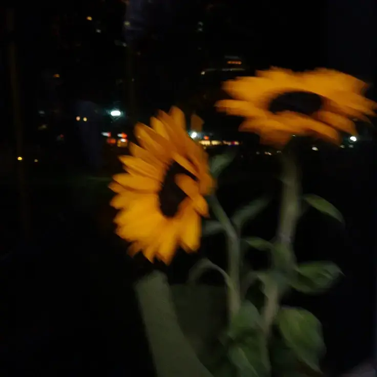 RoastSiren4751의 우헤헿